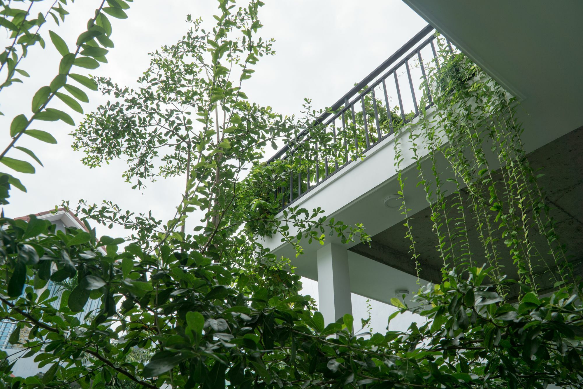 Kiu House - 3Br - Green & Artistic Da Nang Exteriör bild